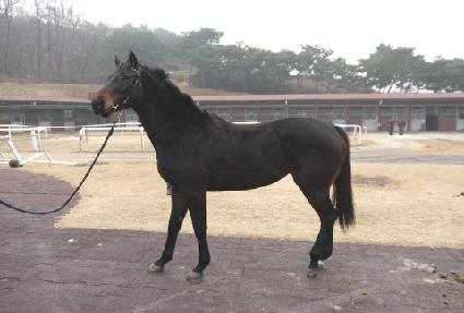 ��Ʈ�հ�� ����