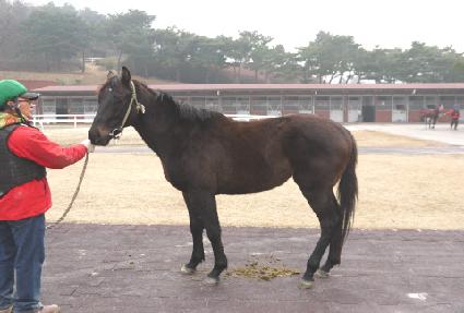 ���丮��Ʈ�� ����