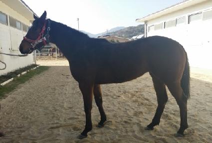 ���Ϳ��� ����