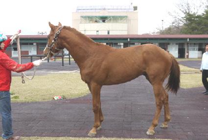 �ε����ϵ� ����