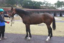 �������Լ� (TONGIRUI HAMSEONG) ����