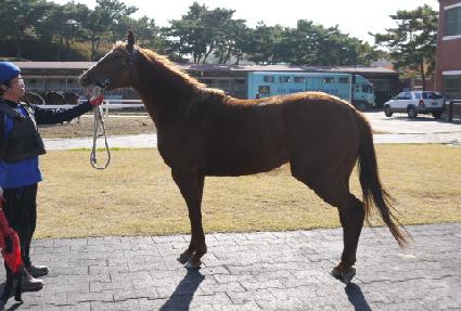 ��緹�̵� ����