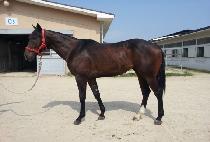 BEOLMA SONYEON picture