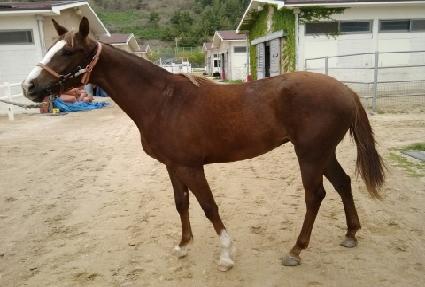 ���̽����� ����