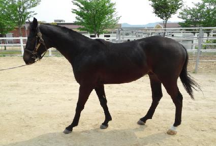 �ÿ��������� ����