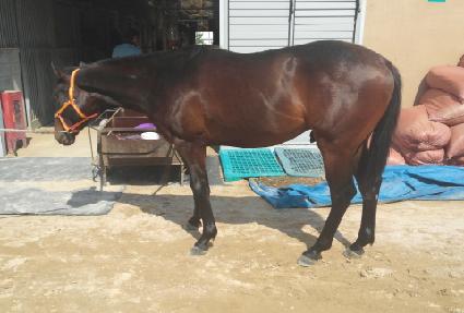 �����ֽ�Ÿ ����