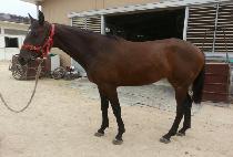 ������ (OKGUSEUL) ����