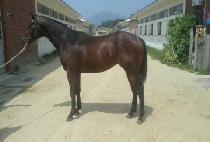 �±ǵ��� (TAEGWON DONGJA) ����