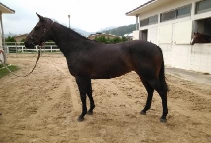 ���׳� ����