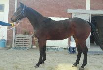 NEOLBEUN BEOL picture