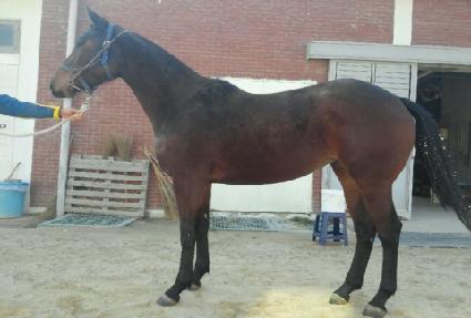 ������ ����