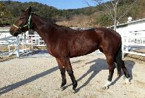 �Ѱ�ô� (HANGYE SIDAE) ����