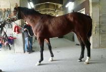 �����ʿ� (NEOLBEUN CHOWON) ����