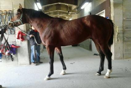 �����ʿ� ����