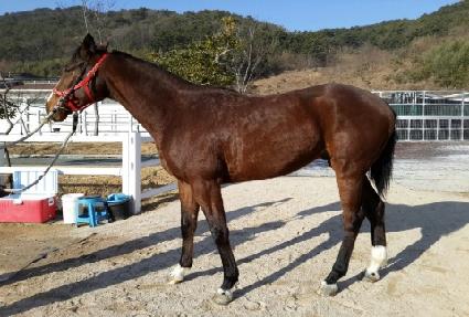 �Ѱ����� ����