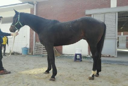 ���ݺ��� ����