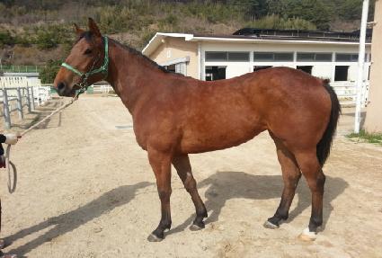 ������Ÿ ����