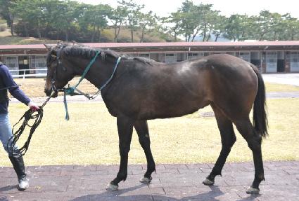 �������� ����