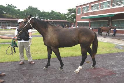 ȣ��ŷ ����