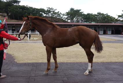 Ǯ���� ����