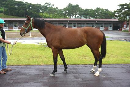 ������ũ��� ����