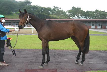 ���緹�̽� ����