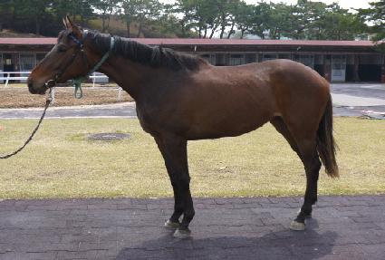 ���鸮��� ����