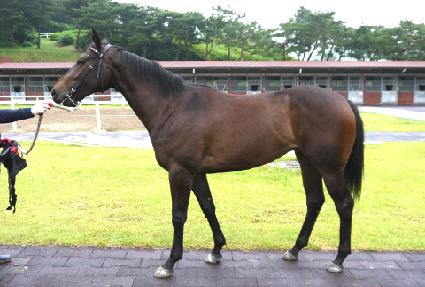 ������ ����