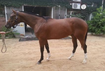 �������� ����