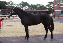 �ְ����̽� (CHOEGO ACE) ����