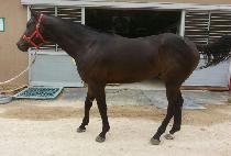 �������¸� (JULLYAKJUK SEUNGNI) ����