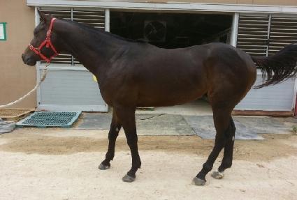 �������¸� ����