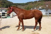 �����ǿ��� (NAMDOUI YEOWANG) ����