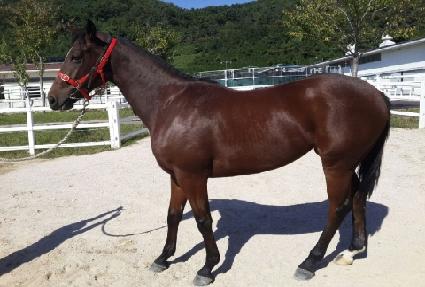 �����Ƽ ����