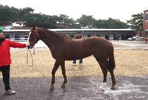 ���������� (THE ZONE SPAIN) ����