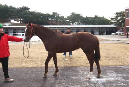 ���������� ����