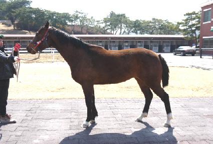 ��Ǫ��Ÿ�̰� ����