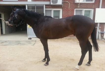 �氭�� ����