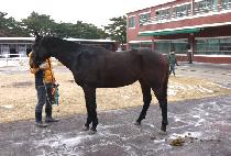 ��Ʈ�շε� (STRONG ROAD) ����