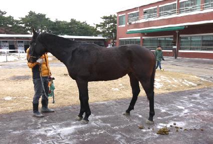 ��Ʈ�շε� ����