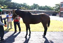 ��ǳ��� (JILPUNG DAERO) ����