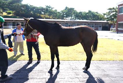 ��ǳ��� ����