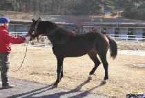 �μն���Ʈ (DUSON LIGHT) ����