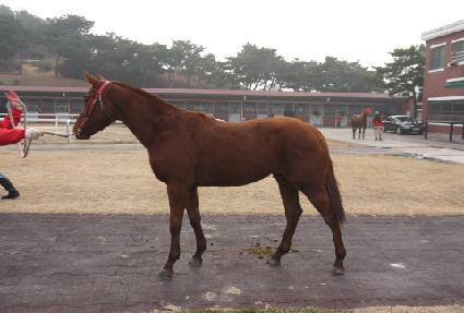 �μ�Ư�� ����