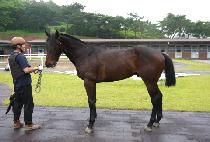 ������ũ (RUNNING TANK) ����