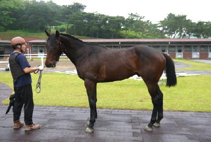 ������ũ ����