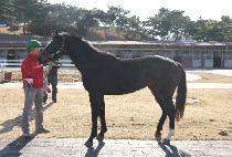 �μ����Լ� (DUSONUI HAMSEONG) ����