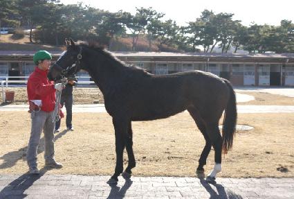 �μ����Լ� ����