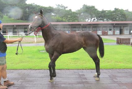 �Ͻ¹�� ����