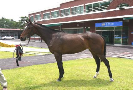 ���Ƿ��� ����